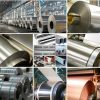 Cuộn Inox 316 1.6mm